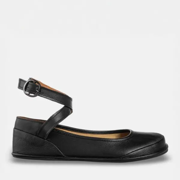 Magical Shoes Anna