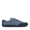 indigo-blue