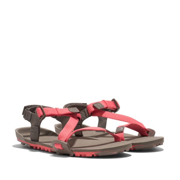 Xero Shoes Z-Trail EV Women