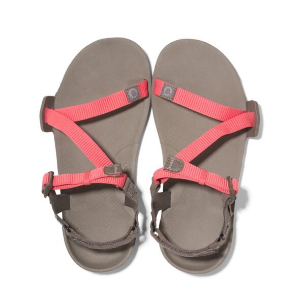 Xero Shoes Z-Trail EV Women