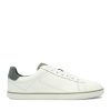 white-sage-green