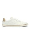white-beige