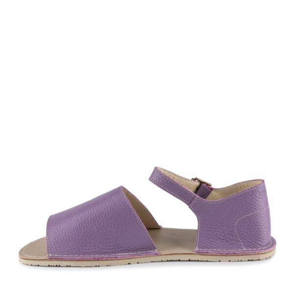 Zeazoo Coral