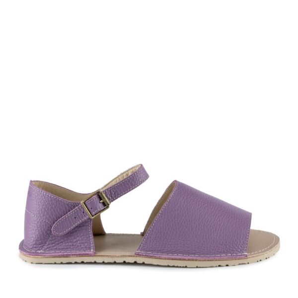 Zeazoo Coral
