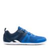 blue-lolite