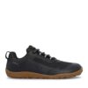 black-gum