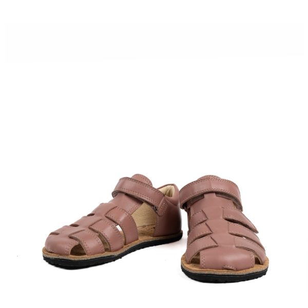 Koel Barefoot Arin Napa