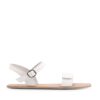 ivory-white