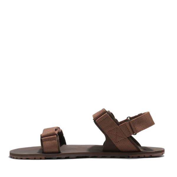 Xero Shoes D-Trail Men