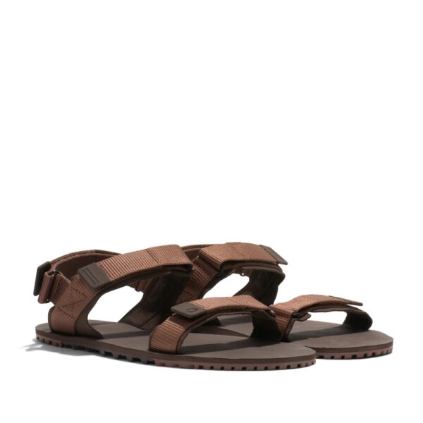 Xero Shoes D-Trail Men