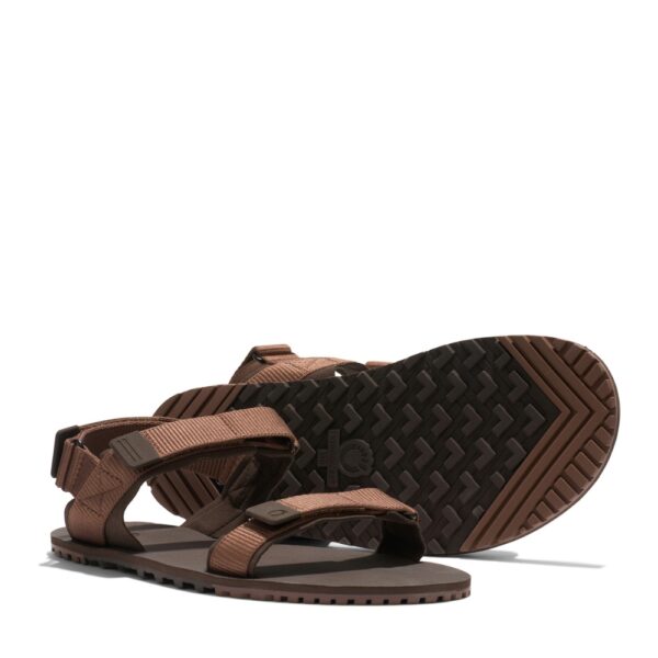 Xero Shoes D-Trail Men
