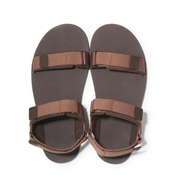 Xero Shoes D-Trail Men