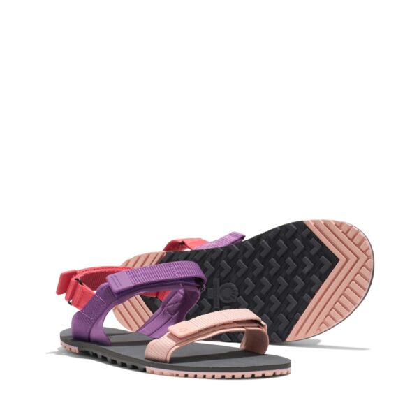 Xero Shoes D-Trail Women