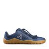insignia-blue-gum