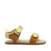 brown-yellow