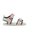 pink-green