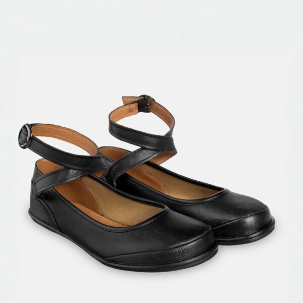 Magical Shoes Anna