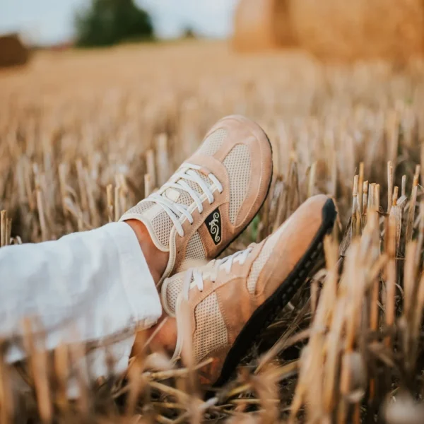 Magical Shoes Explorer 2.0