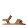 walnut-brown