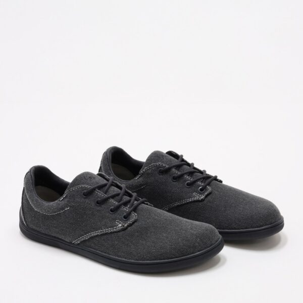 Be Lenka Cityscape Vegan