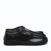 glossy-black